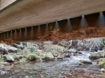 Los mellizos aseguran que lo ha hecho el oso