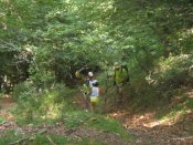 Por los bosques del Curueño