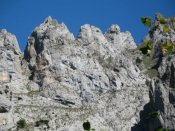 Continuación del MULATAZO en TC-4 (Torca Marino)