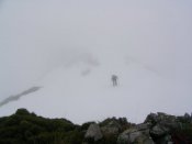 DESPISTE EN LA NIEBLA
