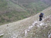 Sil de la Columbina 1.1