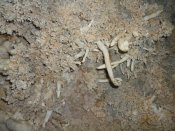 Cueva de Aguar 15