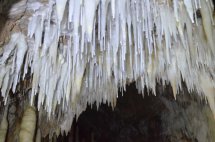 Visita a la cueva de las Agujas. Octubre 2019