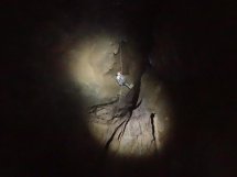 Visita al Horno de la Retuerta. Septiembre 2019