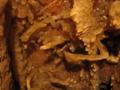 Sima de Huergas, Excéntricas