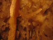 Sima de Huergas, Excéntricas