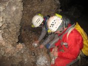 Jornadas Ecologicas 2007