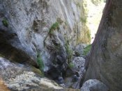Cañón Picos de Europa