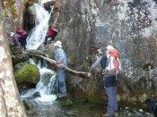 uno para todos todos para uno, tronco!!!