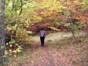 Dentro del Faedo (2)