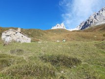Urdías-Fuente Torones-Corijales. Majada de Urdías