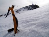 Remelende artistic pioleto