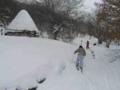 esqui de terraza y chozo