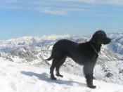 subida Correcillas-Sancenas