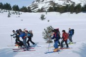Pico el Lago - cocido