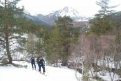 Pico el Lago - cocido