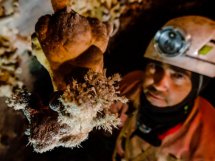 Campaña 2019. Campamento de Agosto en TC-4. Torca Marino